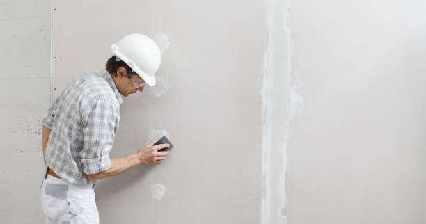 Best Drywall Removal and Disposal  in North Wantagh, NY